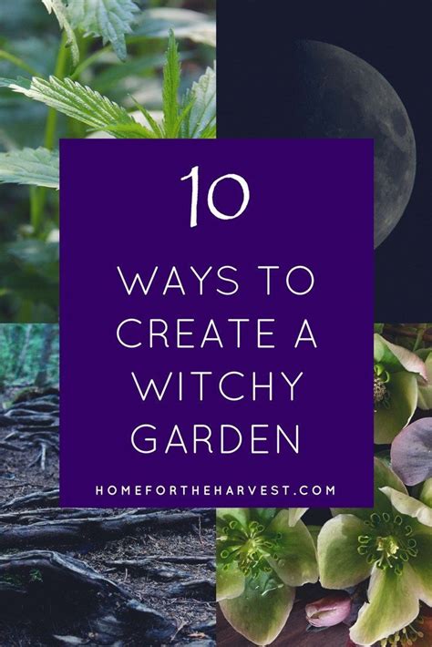 Earth friendly witch garden